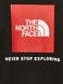 Світшот The North Face REGLAN RED CREW BOX Black (NF0A4SZ9KX91SH) NF0A4SZ9KX91SH фото 3